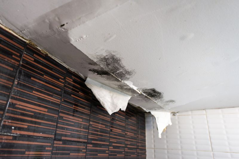 Bathroom Water Damage Repair in Santa Rosa, CA
